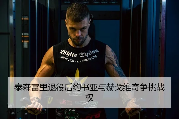 泰森富里退役后约书亚与赫戈维奇争挑战权